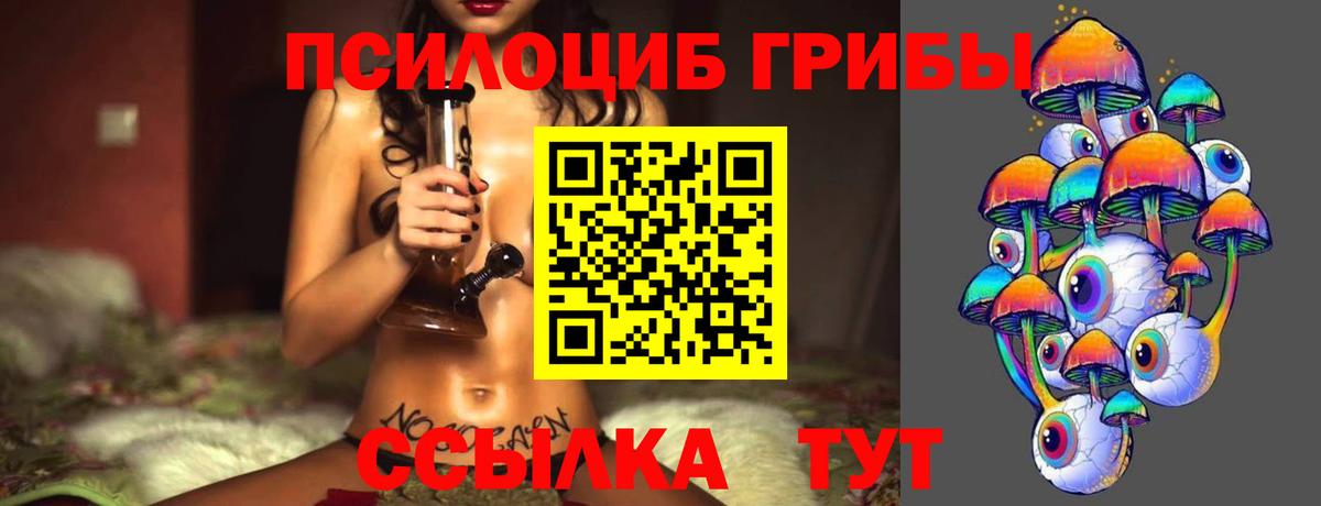 Тольятти  Галлюциногенные грибы Psilocybine cubensis  Вход с VPN 