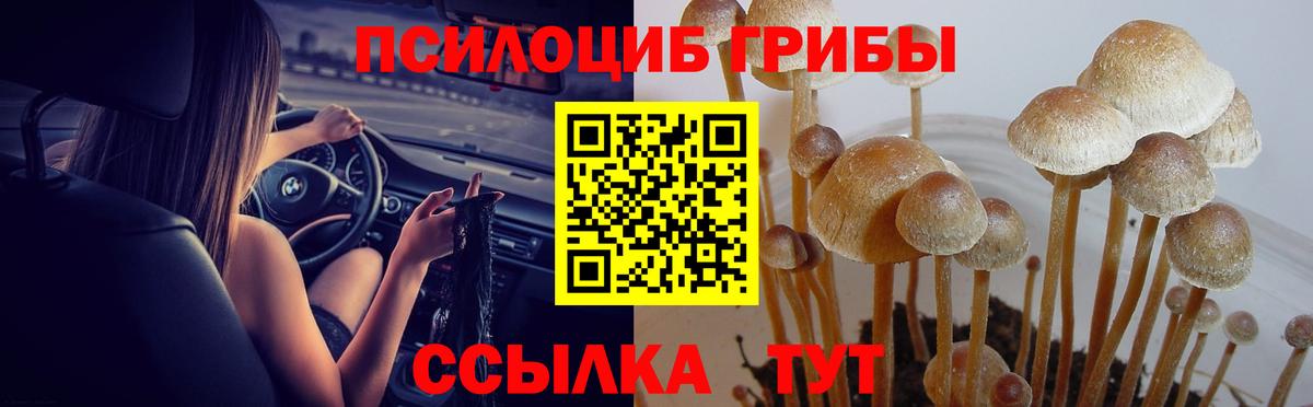 Галлюциногенные грибы мицелий Тольятти